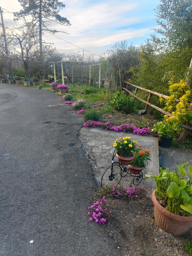 La Valle Fiorita Soviore Eksteriør billede
