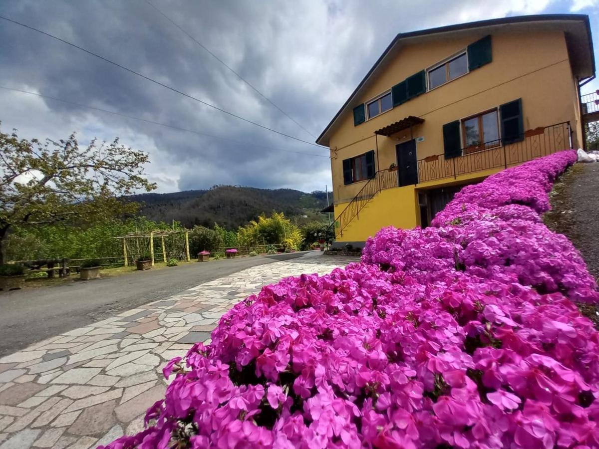 La Valle Fiorita Soviore Eksteriør billede