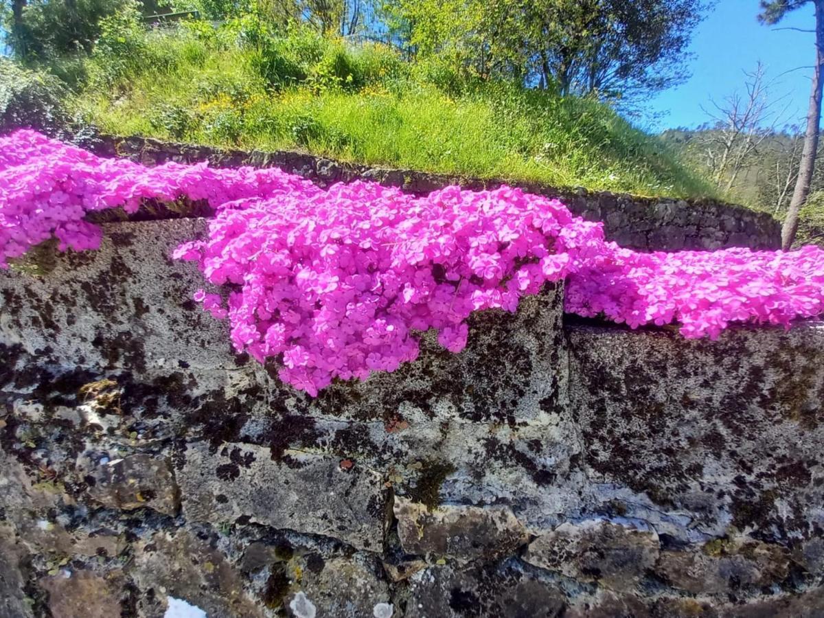 La Valle Fiorita Hotel Soviore Eksteriør billede