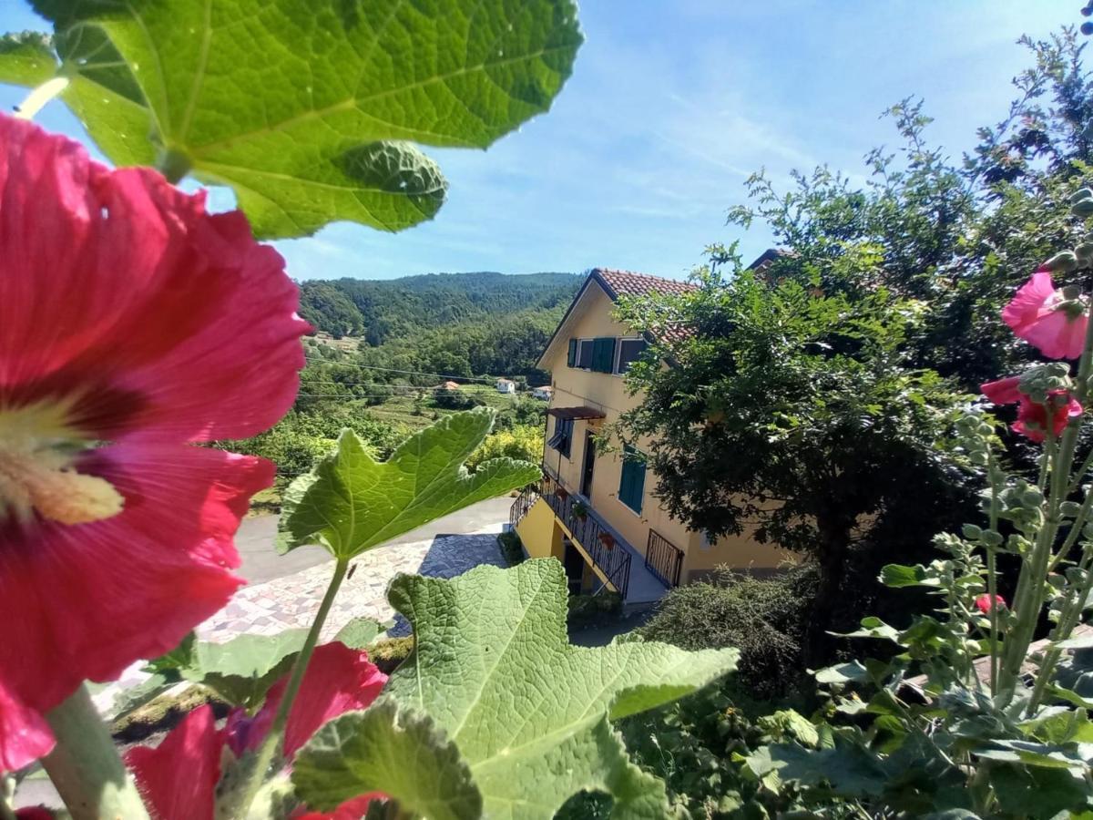 La Valle Fiorita Hotel Soviore Eksteriør billede