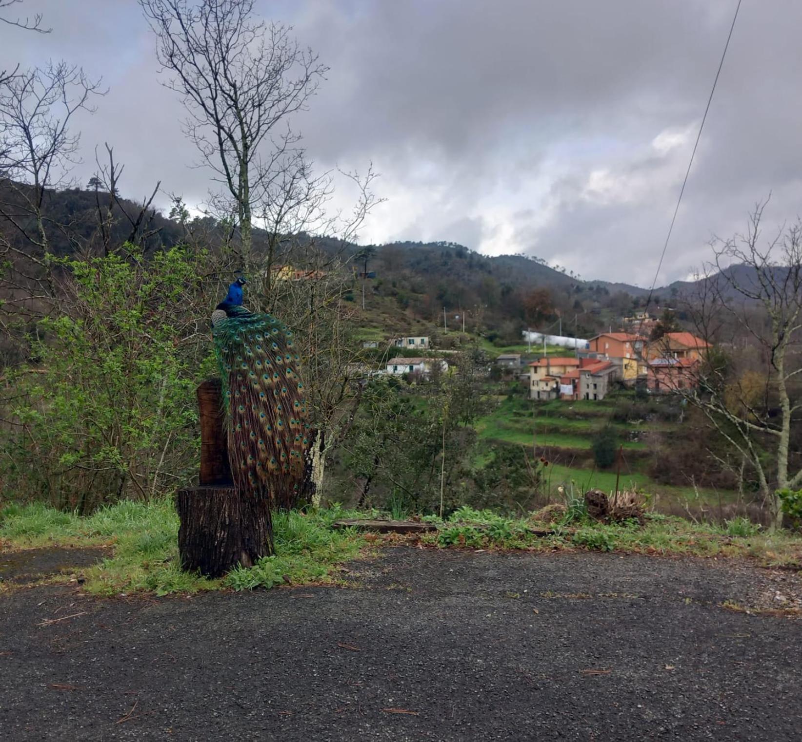 La Valle Fiorita Soviore Eksteriør billede