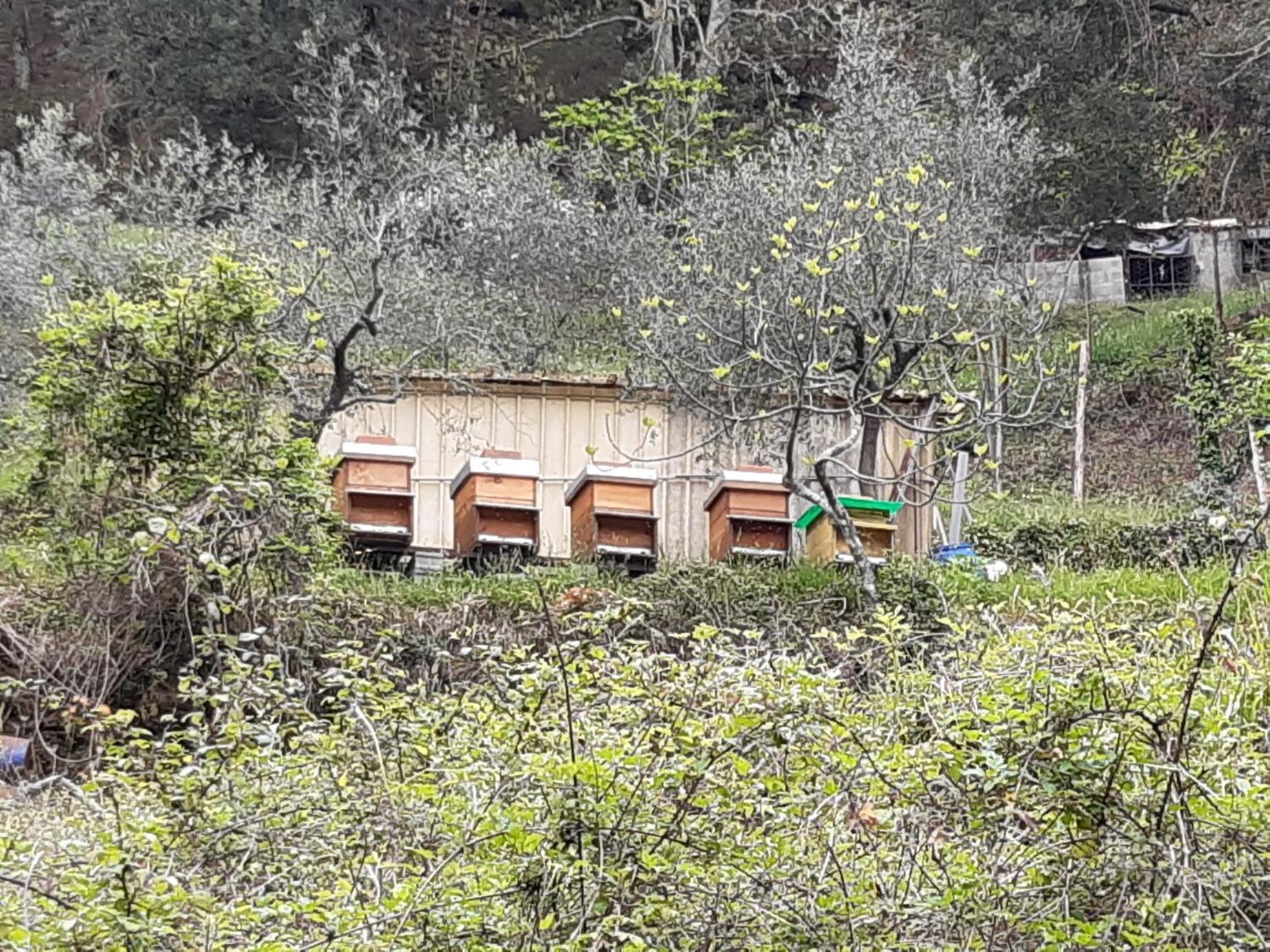La Valle Fiorita Soviore Eksteriør billede